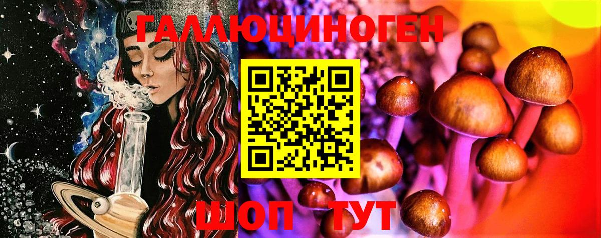 Псилоцибиновые грибы прущие грибы  Вход с VPN  что такое наркотик  Псилоцибиновые грибы мухоморы  Белая Калитва 