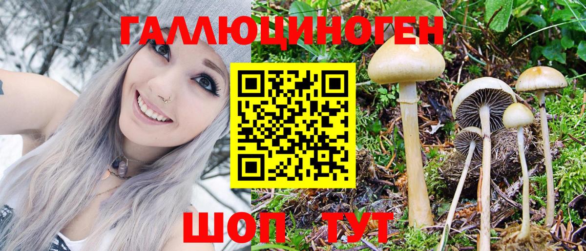 Галлюциногенные грибы GOLDEN TEACHER Белая Калитва